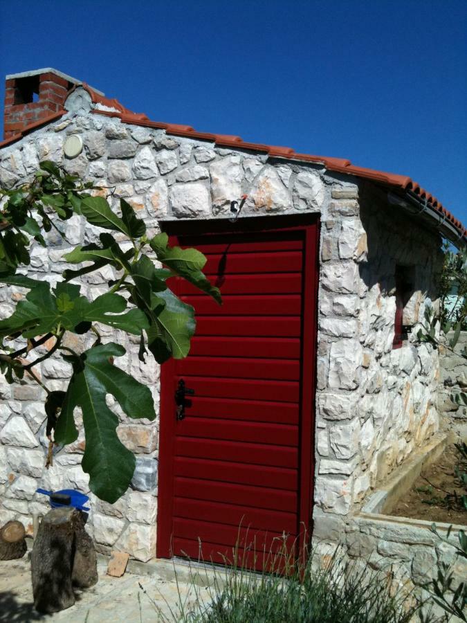 Apartman Aurora